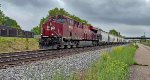 CP 8919 leads B454.